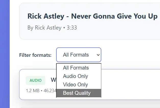 Close-up of the format selection panel showing quality options, file sizes, and download buttons.